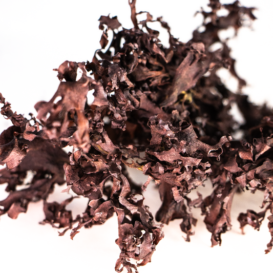 Dried Pacific Dulse Seaweed - 2 oz