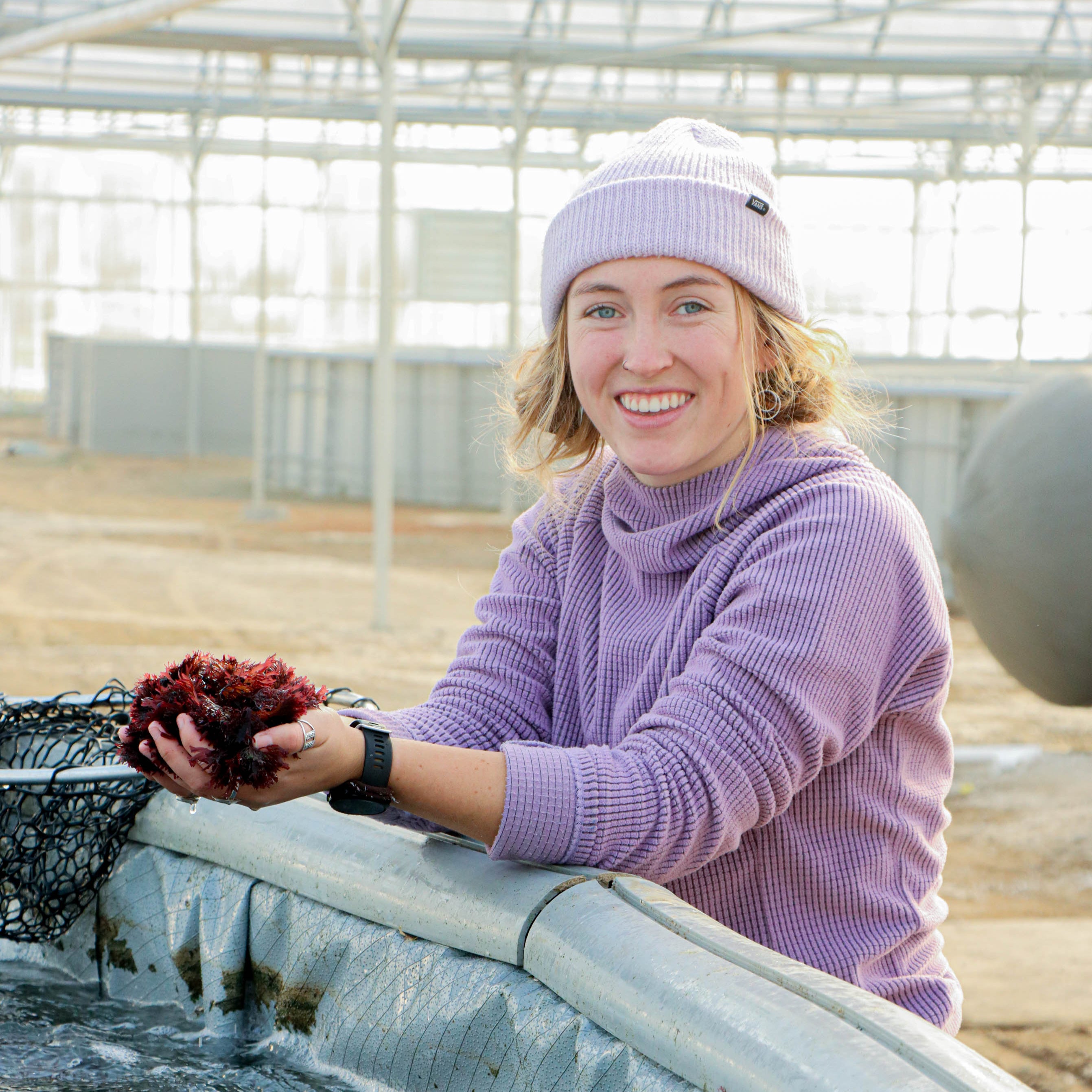 fresh-red-dulse-seaweed-nutrient-rich-sustainable-organic-seafood-farm
