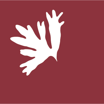 fresh-red-dulse-seaweed-nutrient-rich-sustainable-organic-wellness